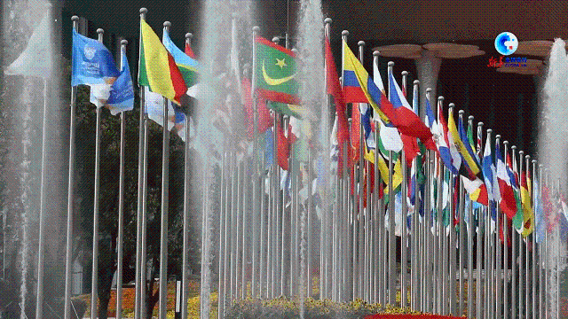 UID20221108145358176817.gif